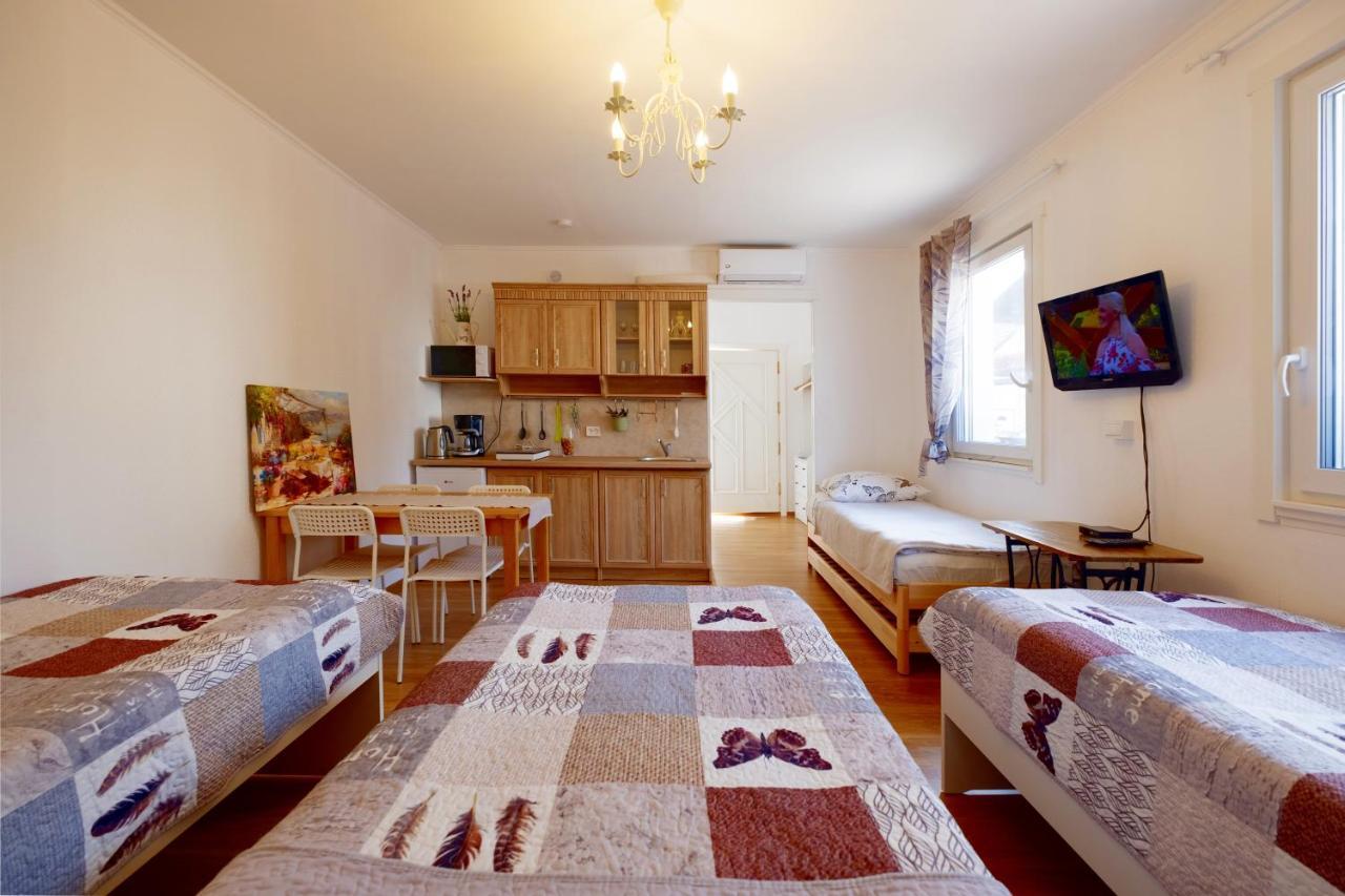 Eco-Lux Apart With Free Bicycles End Free Parking Любляна Екстериор снимка