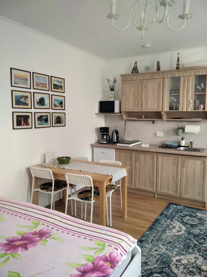 Eco-Lux Apart With Free Bicycles End Free Parking Любляна Екстериор снимка