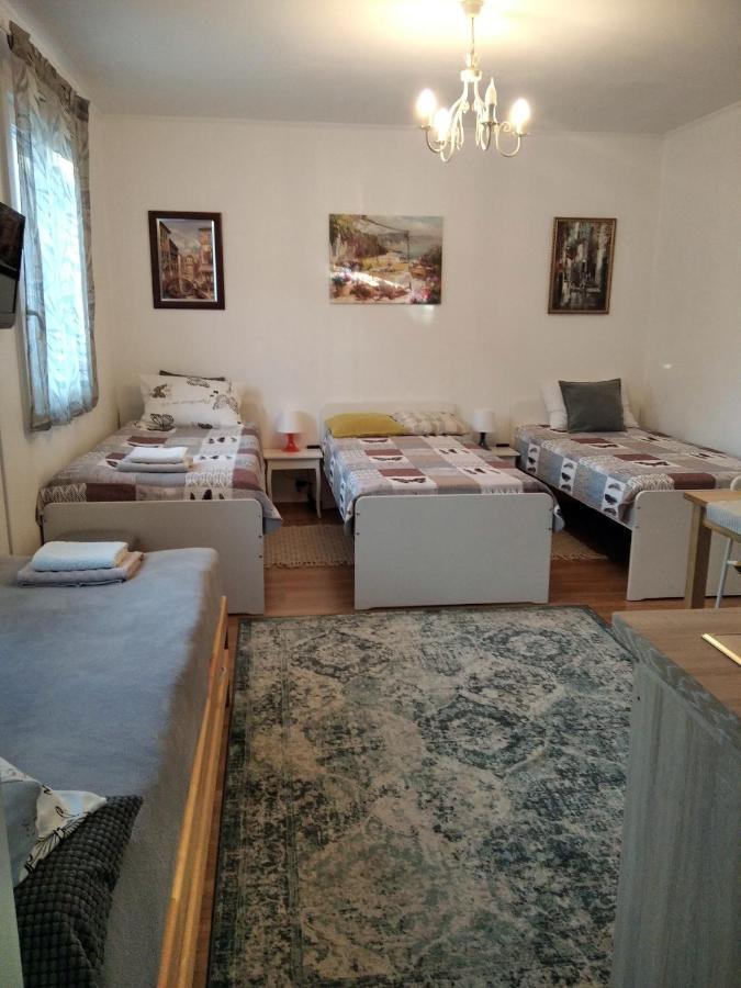 Eco-Lux Apart With Free Bicycles End Free Parking Любляна Екстериор снимка