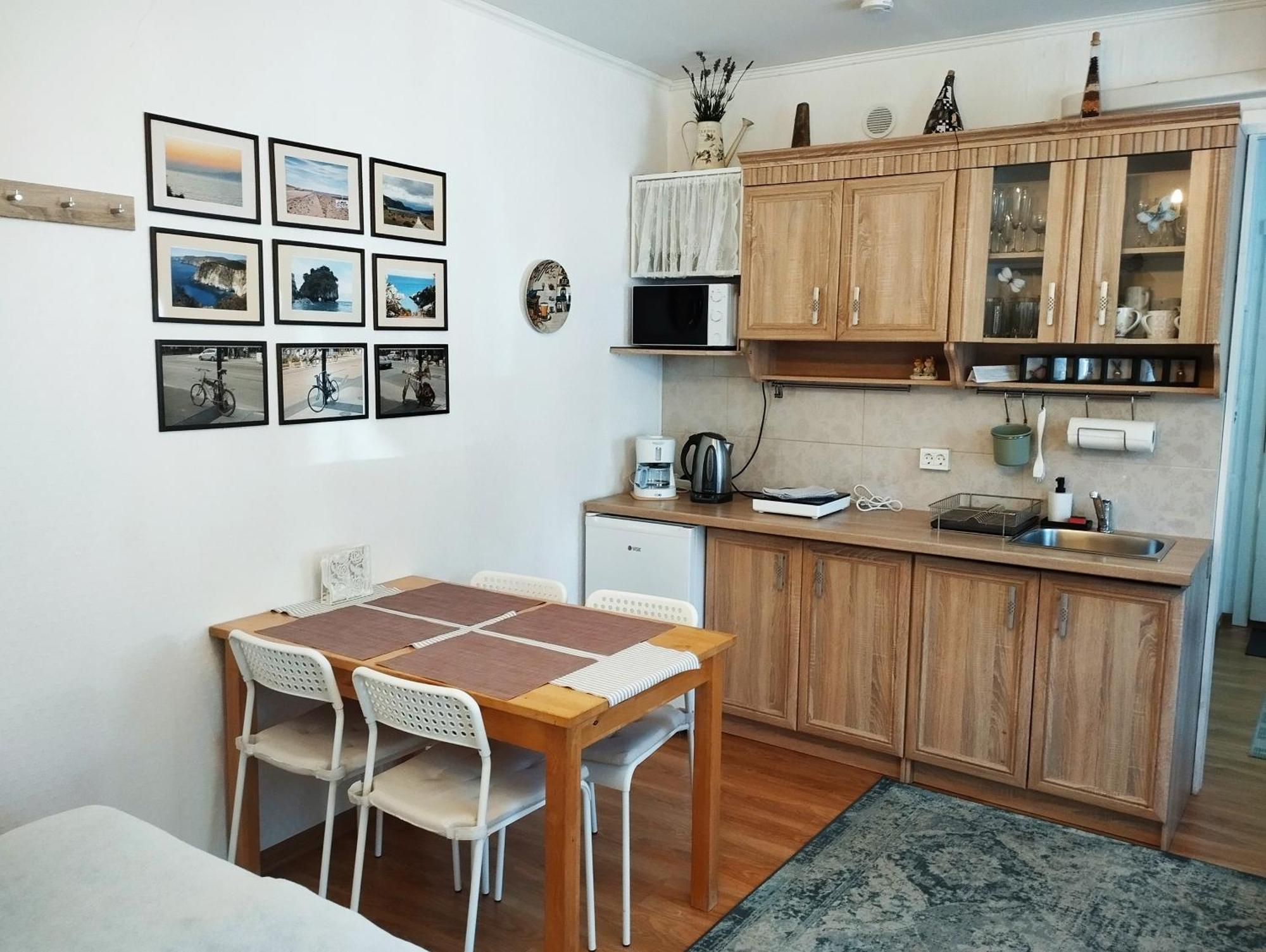 Eco-Lux Apart With Free Bicycles End Free Parking Любляна Екстериор снимка