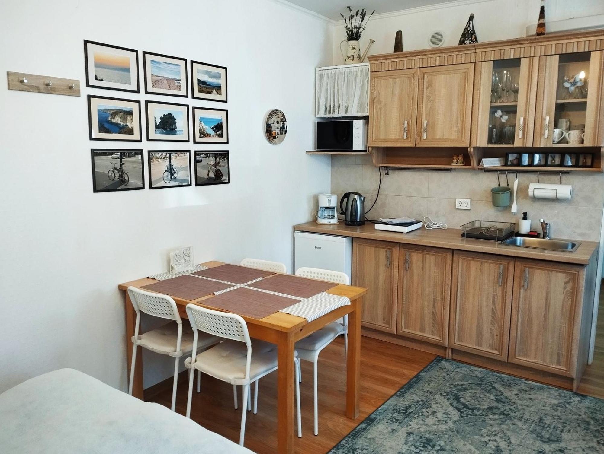 Eco-Lux Apart With Free Bicycles End Free Parking Любляна Екстериор снимка